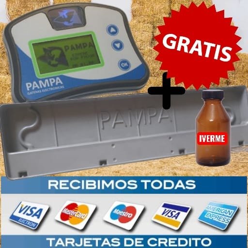 Producto - Reloj Pampa y Antena 6 entradas con Accesorios