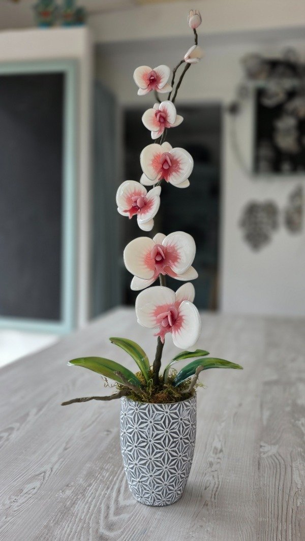 Producto - MASTER ORQUIDEAS ONLINE - 7