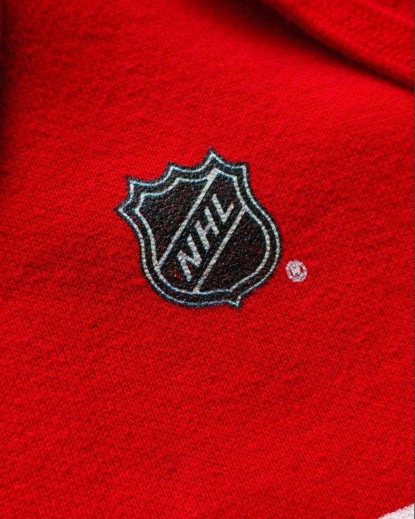 Producto - BUZO FANATIC "DETROIT RED WINGS" TALLE XL - 4