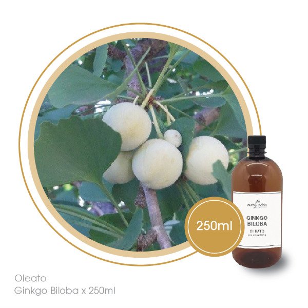 Producto - Oleato Ginkgo Biloba x 250 ml