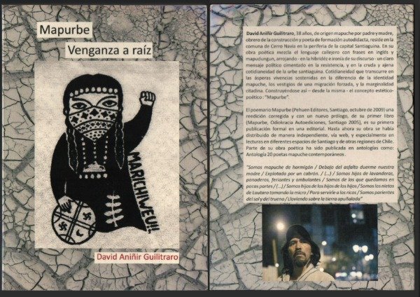 Producto - Mapurbe, David Aniñir Guilitraro