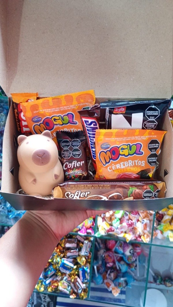 Producto - BOX SCUISHI CAPIBARA