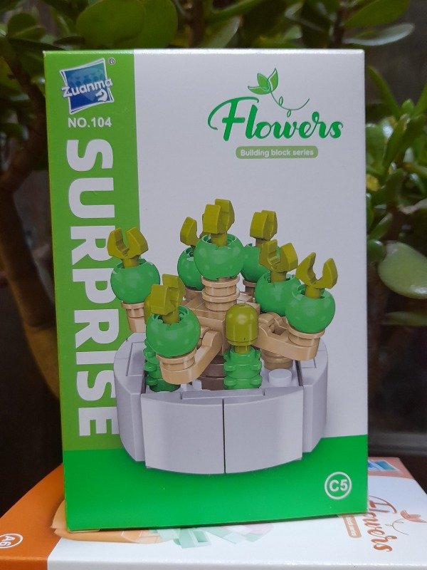 Producto - BiGuangHuan