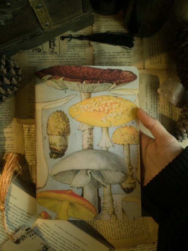 Producto - Fungi A5 liso