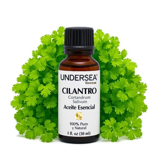 Producto - ACEITE ESENCIAL DE CILANTRO (CORIANDRUM SATIVUM)
