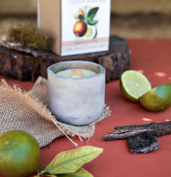 Producto - Velas de soja HUERTA ORGANICA