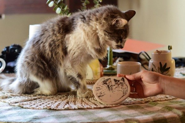 Producto - Colgante gatito Yudi