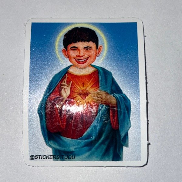 Producto - FRO SANTO