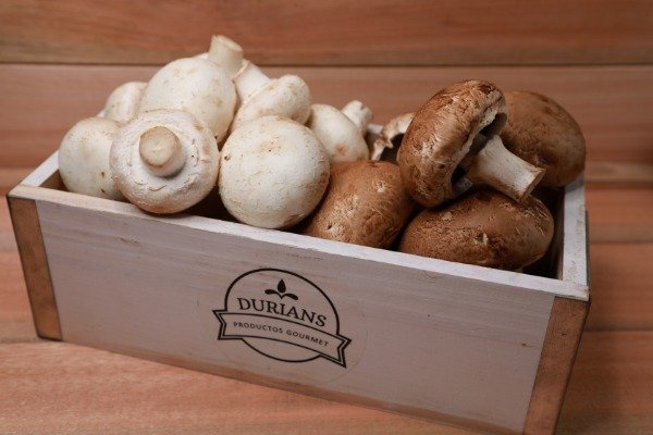 Producto - MIX DE HONGOS