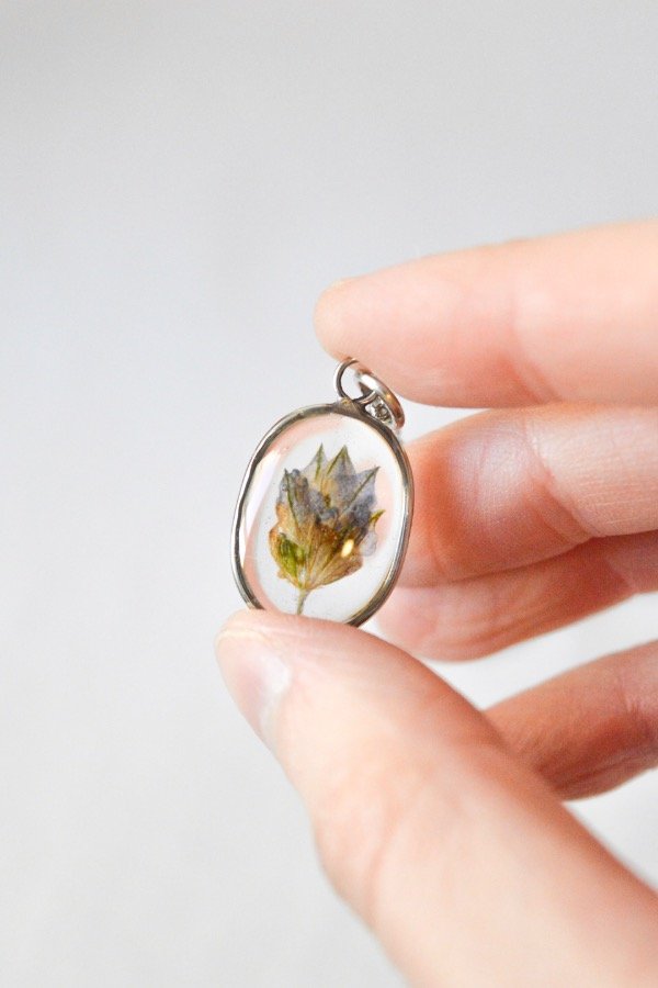 Producto - Lavanda - 1