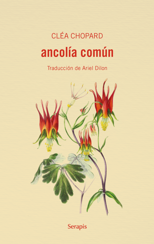 Producto - ancolía común