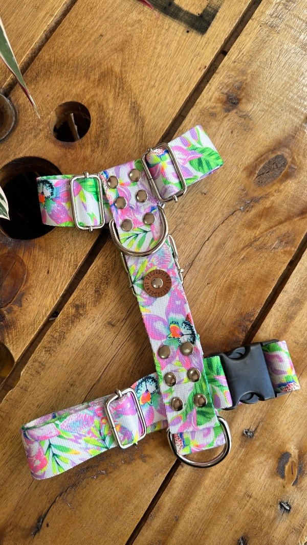 Producto - Pretal H Selvático Reforzado