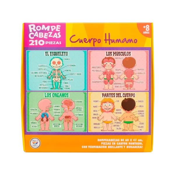 Producto - Rompecabezas Cuerpo Humano 210 piezas