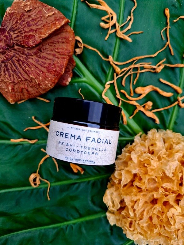 Producto - Crema Facial Reishi- Cordyceps- Tremella 50 gr.