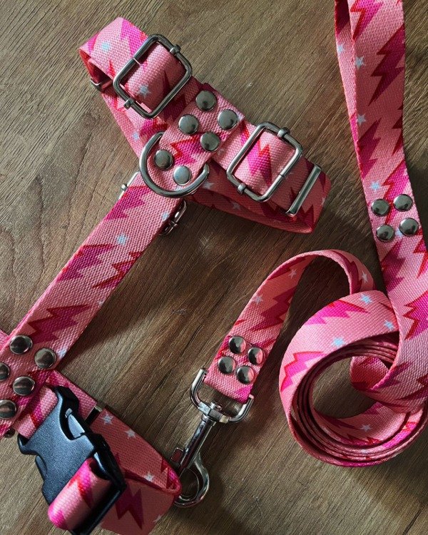 Producto - Pretal y correa RAYOS PINK