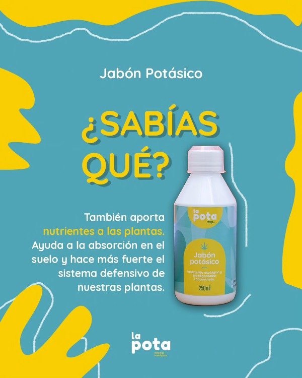 Producto - Jabón Potásico La Pota x 250 ml. - 2