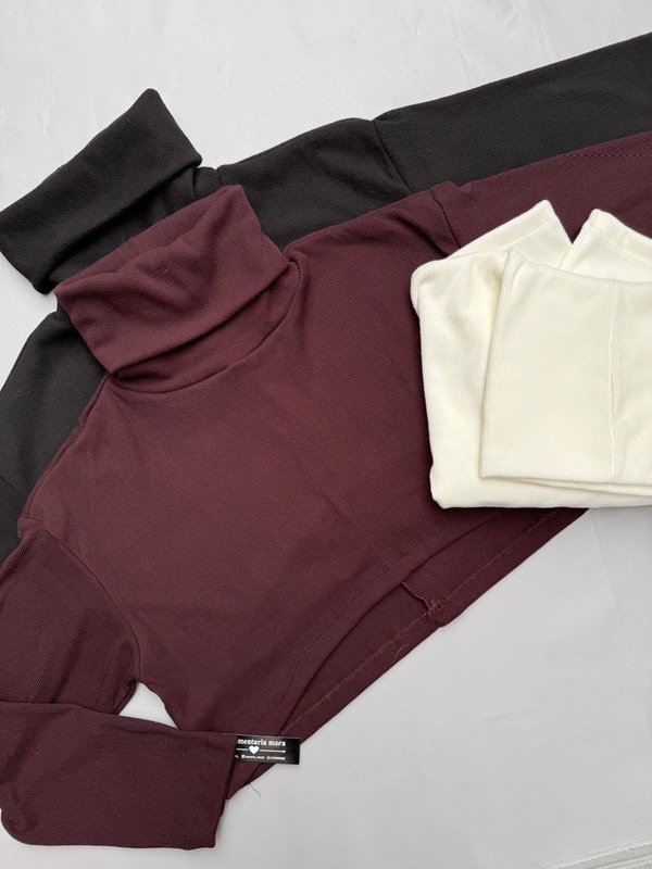 Producto - Sweater polera /corto