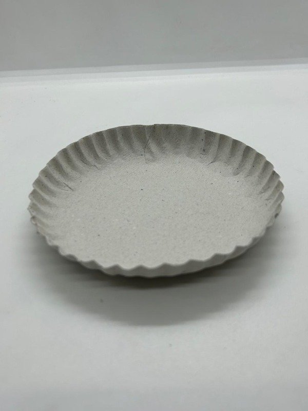 Producto - plato de cartón