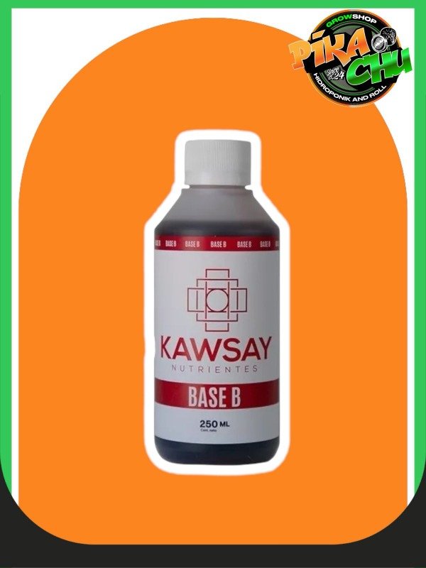 Producto - KAWSAY BASE B 250CC