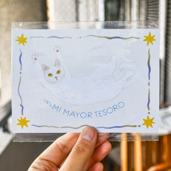 Producto - Postal Tesoro Blanco