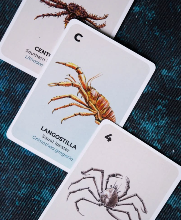 Miniatura de producto - 3