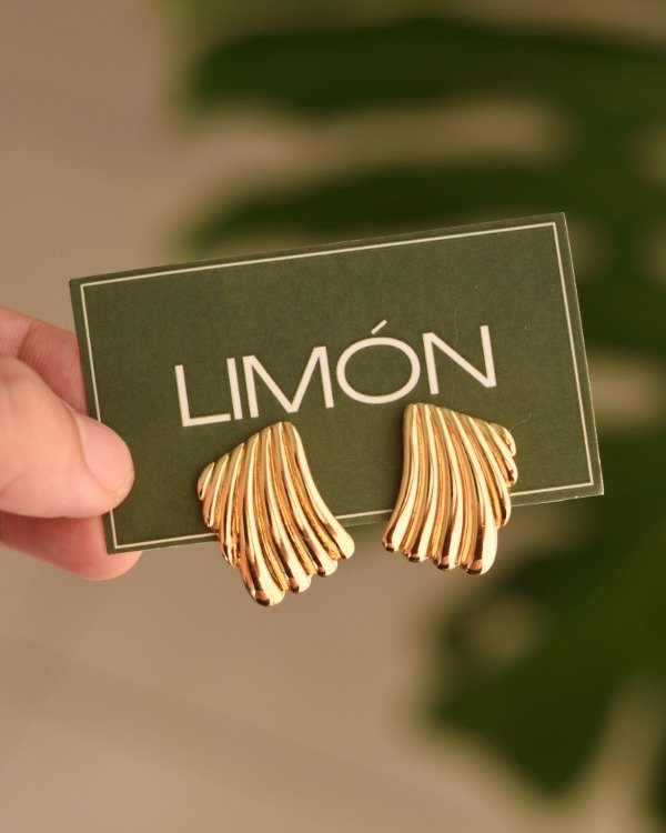 Producto - AROS CORAL