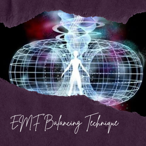 Producto - EMF Balancing Technique