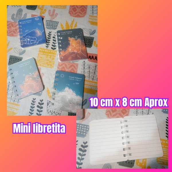 Producto - Mini libretita x2
