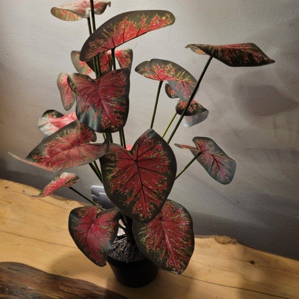 Miniatura de producto - 5