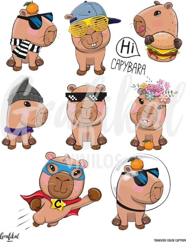 Producto - Transfer Color Capy 009