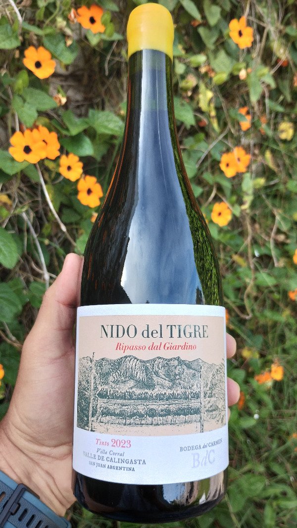 Producto - Bodega del Carmen - Nido del Tigre - Ripasso dal Giardino