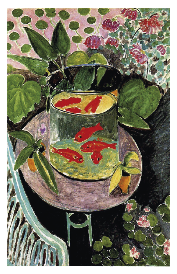 Producto - Peces Matisse