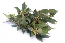 Producto - LAUREL