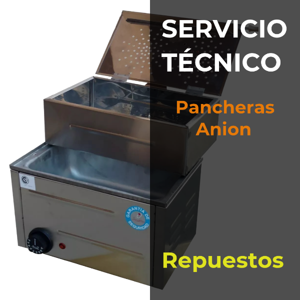 Producto - Repuestos y Servicio Técnico Anion