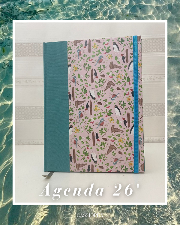 Producto - Agenda 2026 - Pingüinos