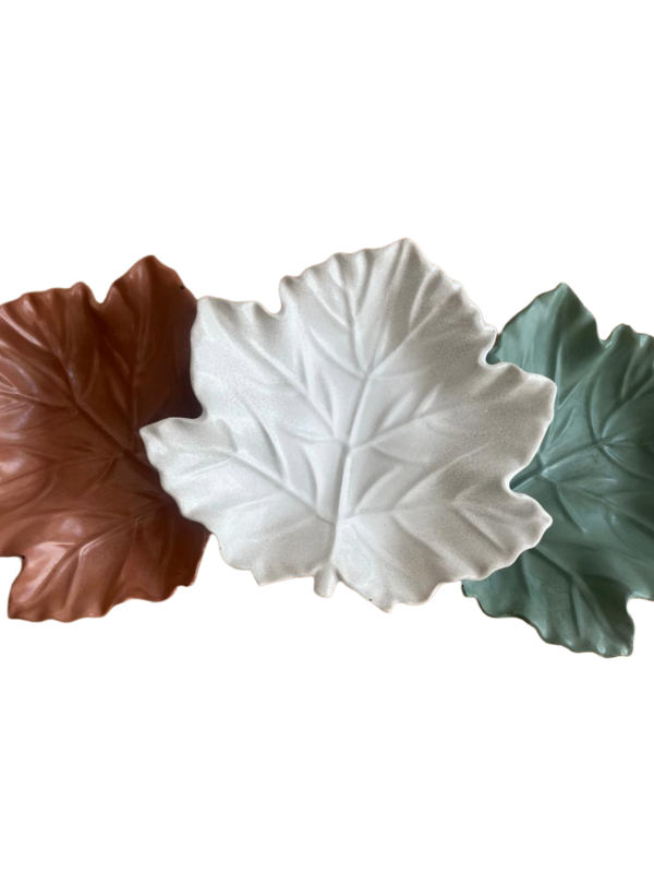 Producto - Hoja recipiente