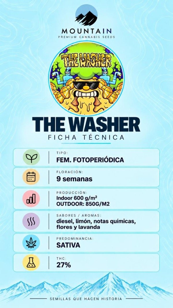 Producto - THE WASHER (3 unidades) - 1