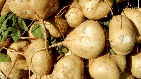 Miniatura de producto - 6