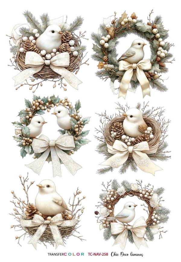 Producto - TransferCOLOR A4 TC 258