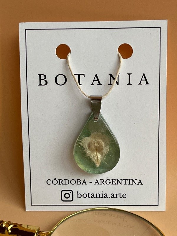 Producto - Semilla 4