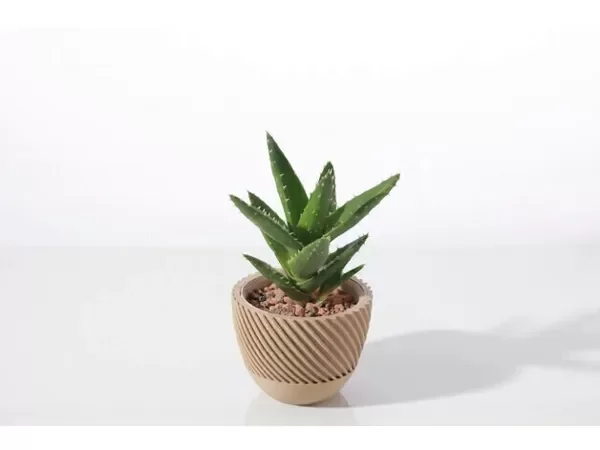 Producto - Florero Geométrico - Modelo Espiral