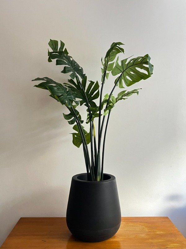 Producto - Monstera Sin Riego 120cm.