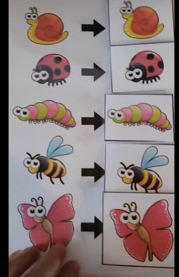 Producto - Cuaderno emparejados