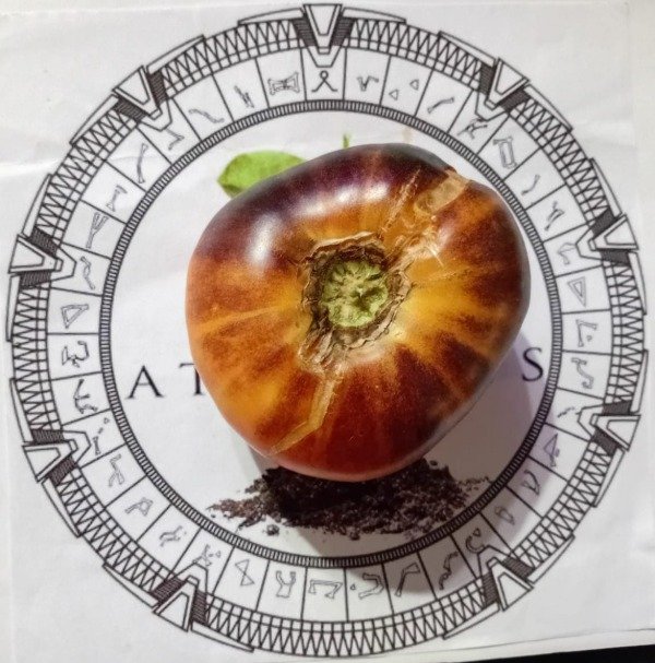 Producto - TOMATE SART ROLOISE