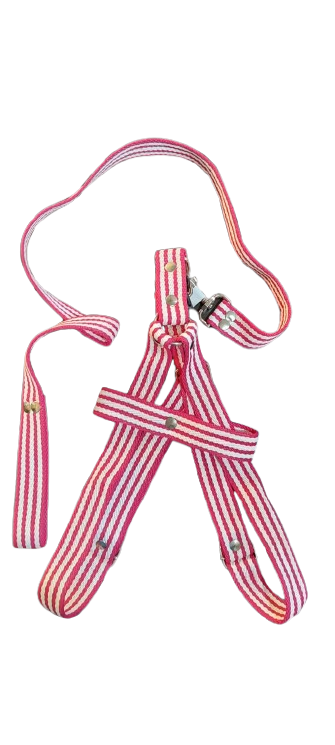 Producto - PRETAL REGULABLE MÁS CORREA RAYADO Nro. 4