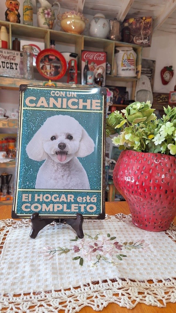 Producto - CARTEL CANICHE