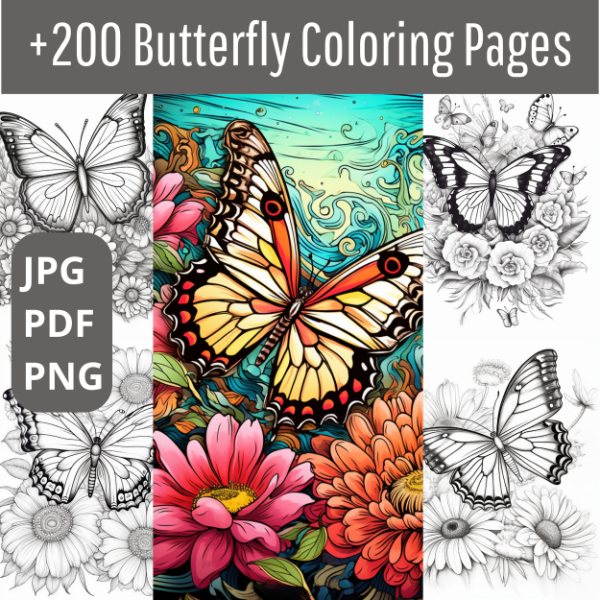 Producto - Libro Mariposas - + de 200 paginas y 40 tapas - LIB09