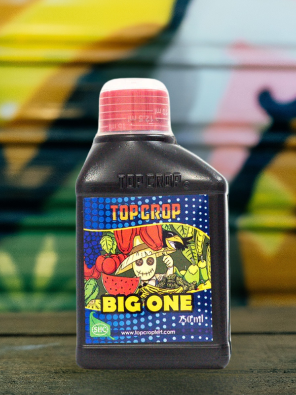 Producto - Top Big One