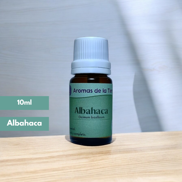 Producto - ALBAHACA