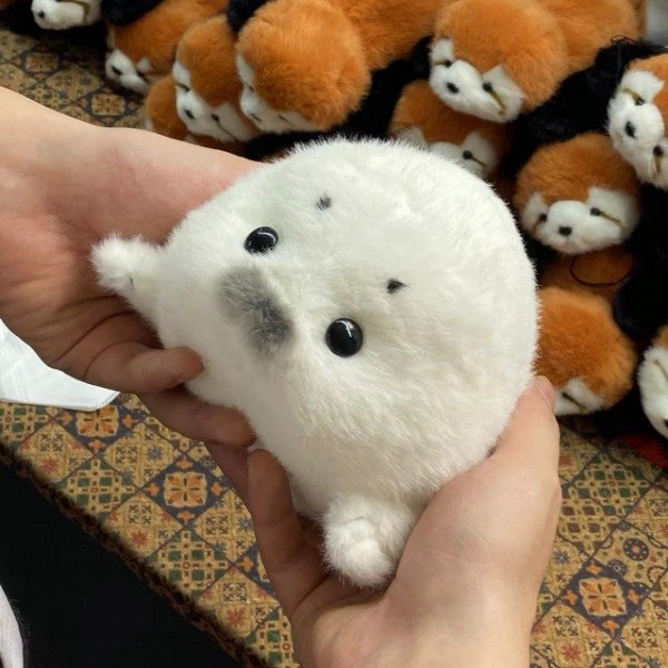 Producto - focaquitas kawaii